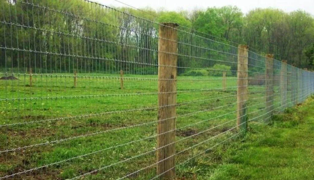 مقاول بناء شبوك بالرياض