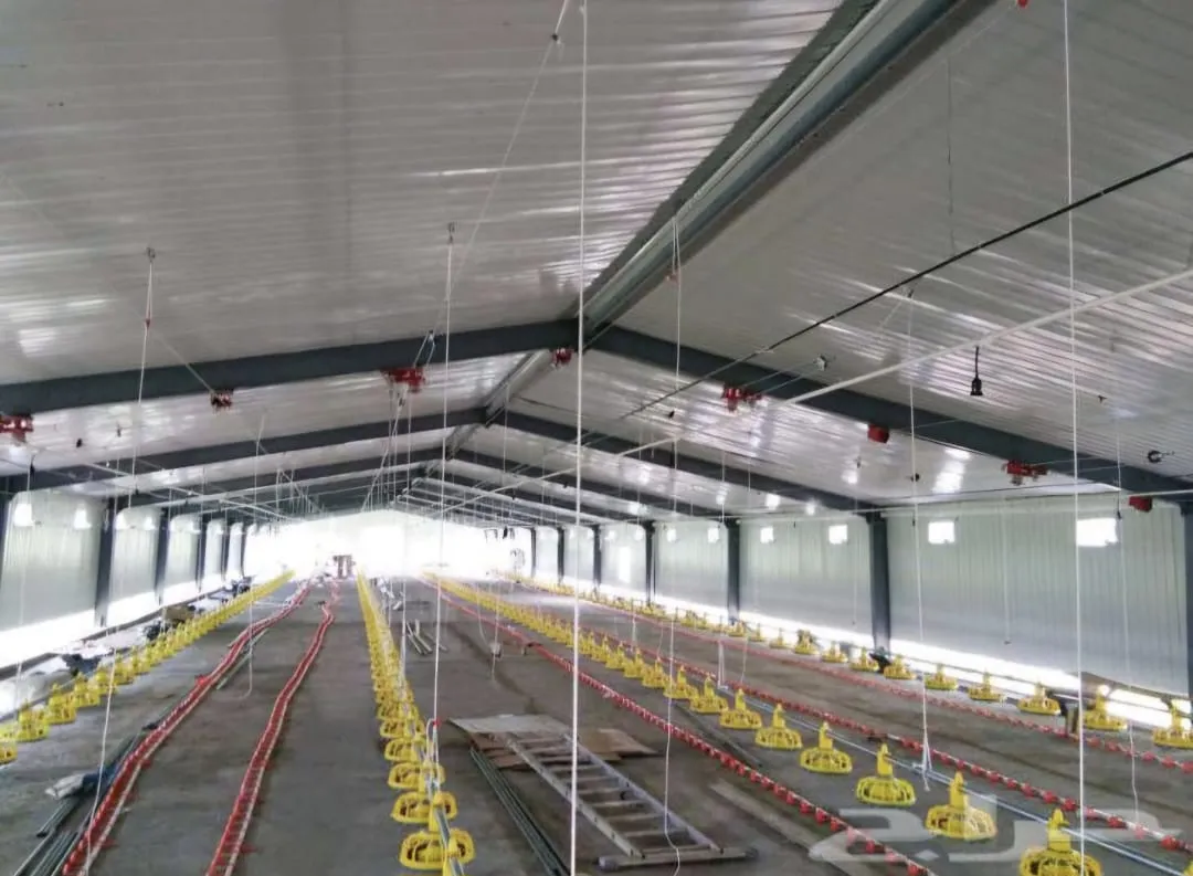 تصميم حظائر دواجن بالرياض