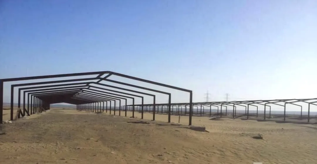 شركة بناء حظاير الدواجن والهناجر جميع مناطق المملكة